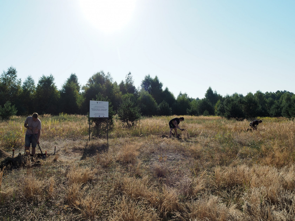 Археологи БФУ им. Канта обнаружили под Калининградом следы поселения бронзового века