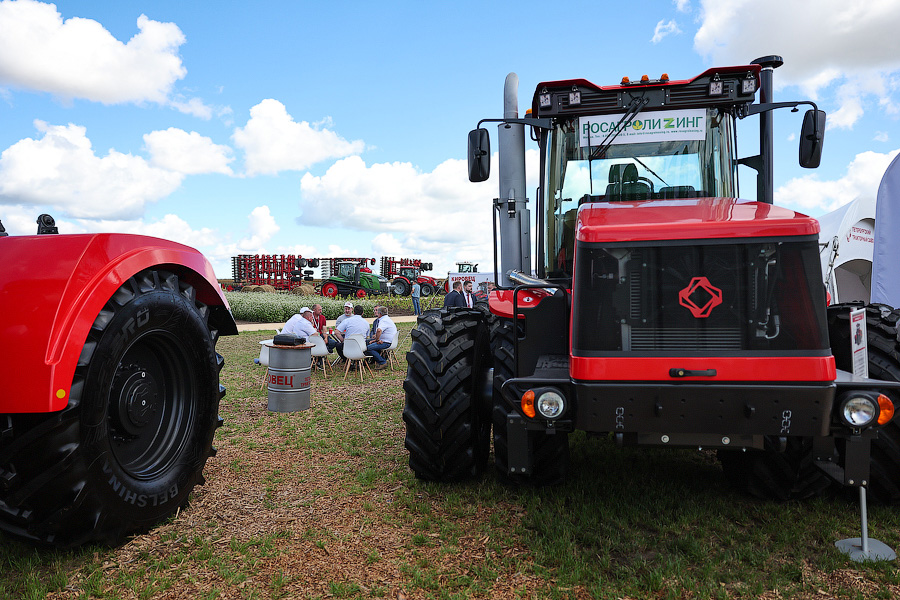 Ржится рожь, овёс овсится: в Калининградской области проходит Всероссийский день поля (фото)