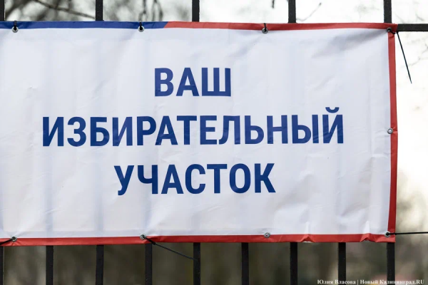 В Черняховском округе в первый день выборов проголосовало более 20% избирателей