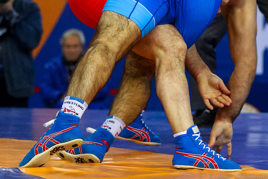 Просто мощь: чемпионат России по греко-римской борьбе идет в Калининграде (фото)