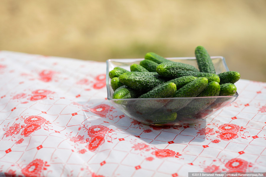 Самыми подорожавшими продуктами декабря в Калининграде стали лук репчатый и огурцы