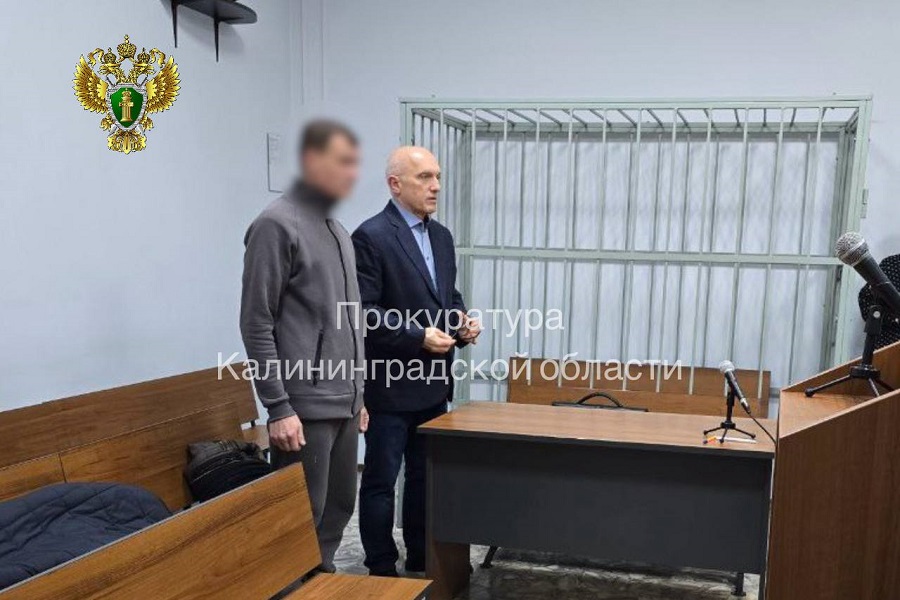 Глава фирмы по производству игрушек получил срок за мошенничество с субсидиями