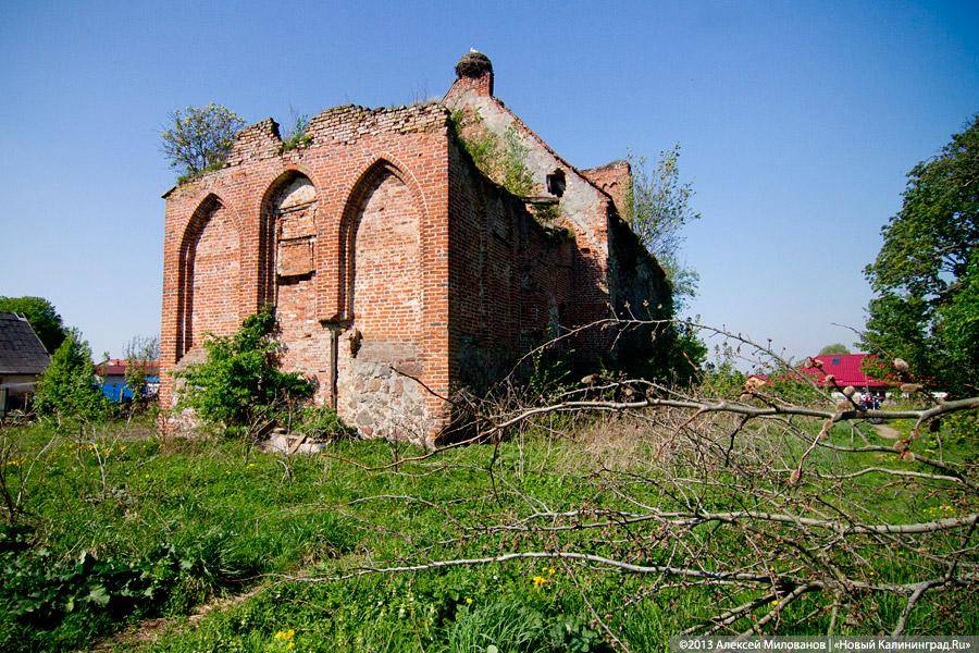 «Фрески и аисты»: вокруг кирхи в посёлке Кумачево идёт судебная тяжба