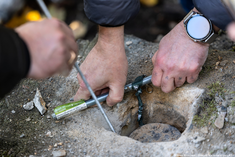 Эхо прошлого: в Калининградском зоопарке извлекли 94-летнюю «капсулу времени» (фото)