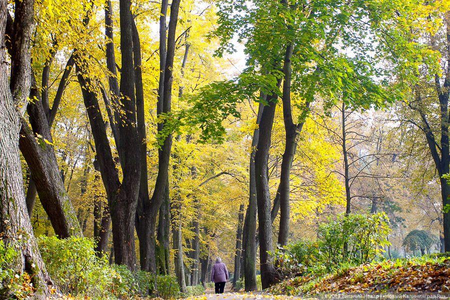 Днём совсем не страшно: осенний Балтийский парк