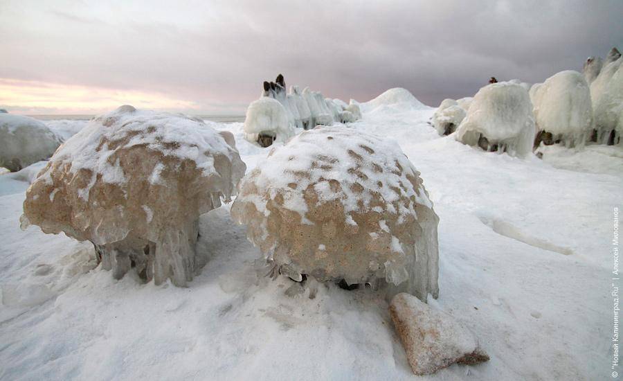 "Сцены у моря": фоторепортаж "Нового Калининграда.Ru"