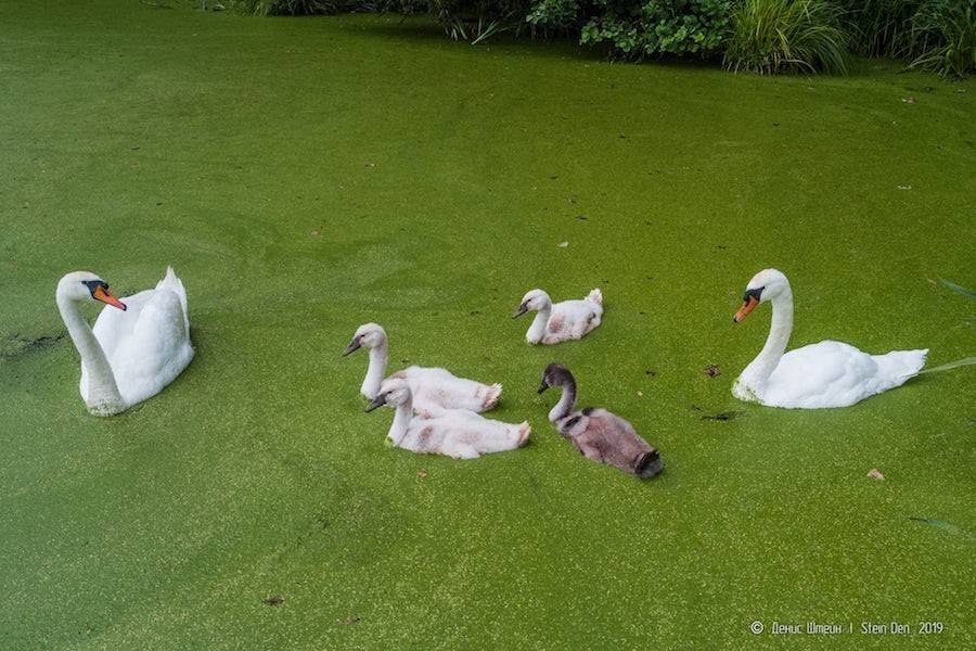 Фото — Денис Штейн