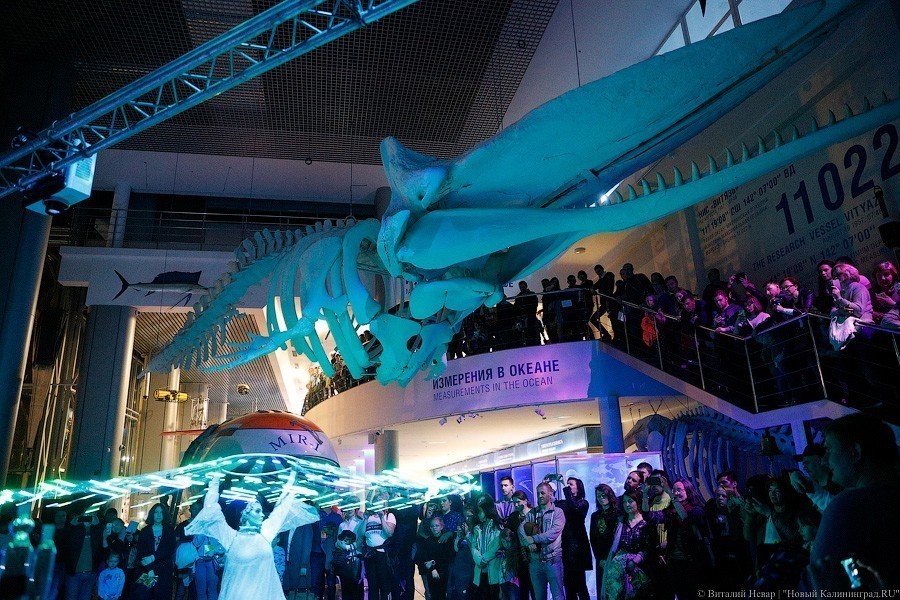 Виталий Невар / Новый Калининград