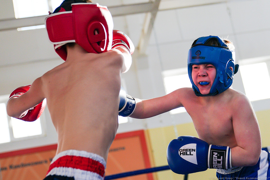 «Ударный» день: в Калининграде прошел чемпионат области по кикбоксингу