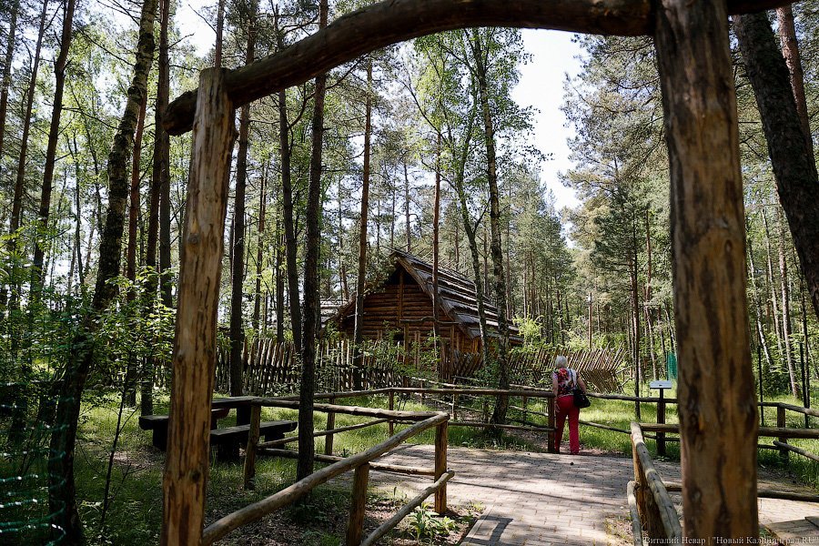 Олаф и его хирд: деревня викингов на Куршской косе стала обитаемой