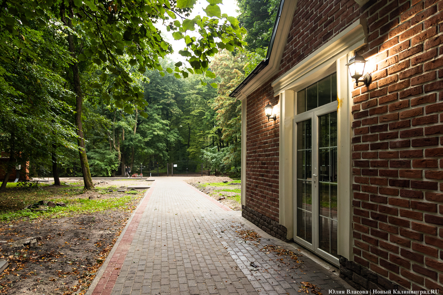 В Калининграде начали благоустраивать старое еврейское кладбище (фото)