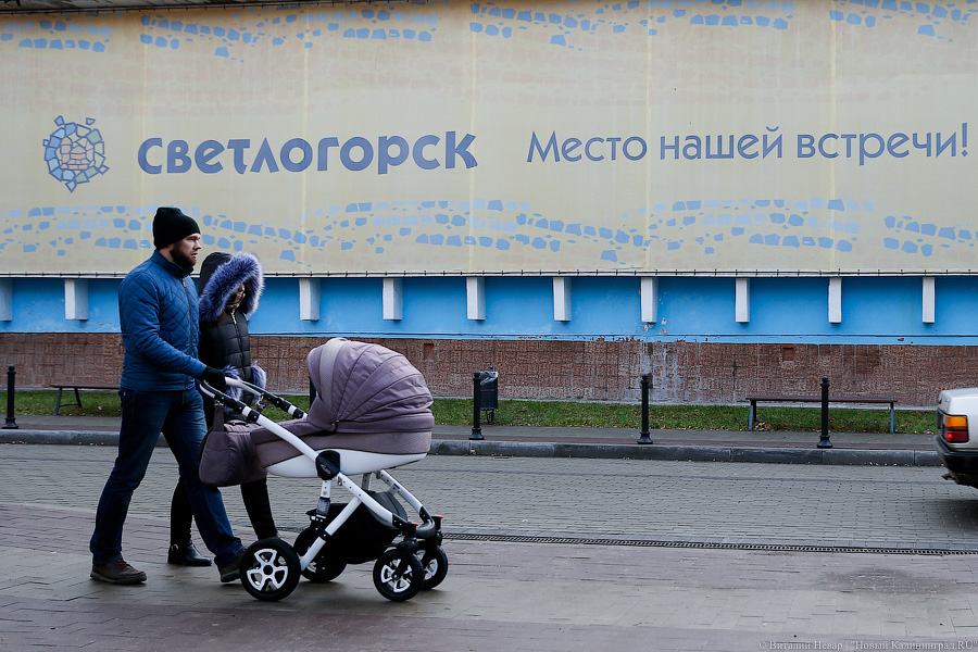В Светлогорске приставы опечатали торгово-административный комплекс с кафе