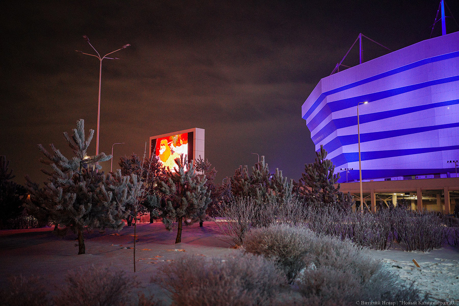 Свая Эдик вместо Снегурочки: у стадиона «Калининград» появился Домик Деда Мороза (фото)