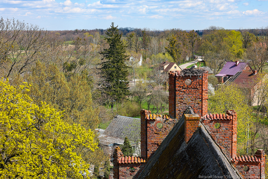 Фото: Виталий Невар, архив Нового Калининграда