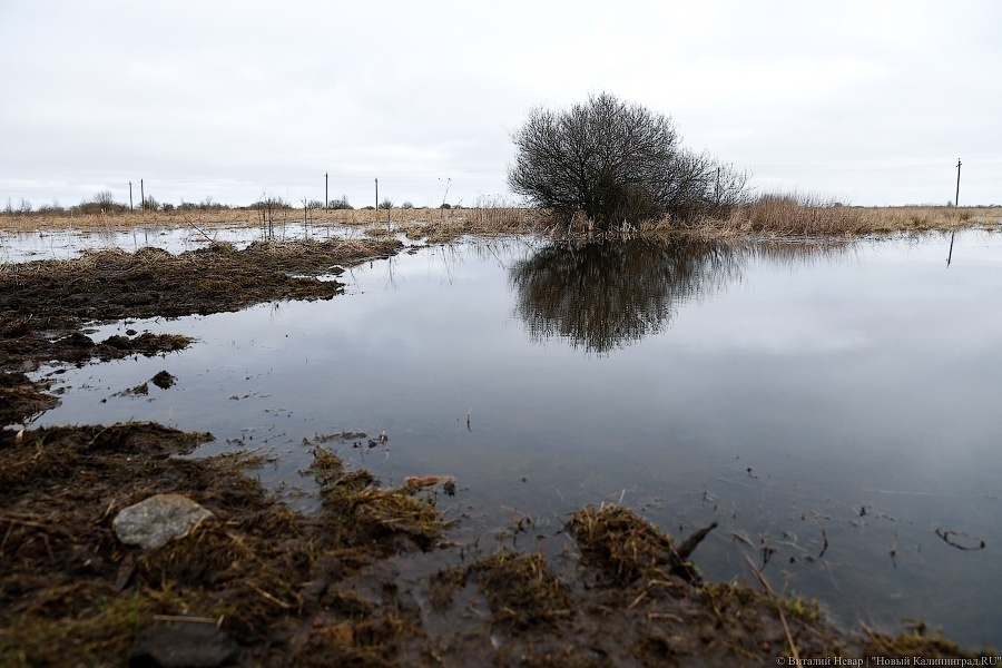 Алиханов рассчитывает на компенсацию сельскому хозяйству в 250 млн