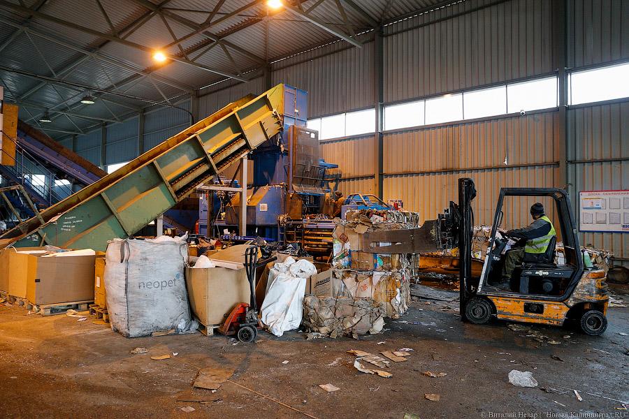 «Нечистый» бизнес: как и где в Калининграде научились зарабатывать на отходах