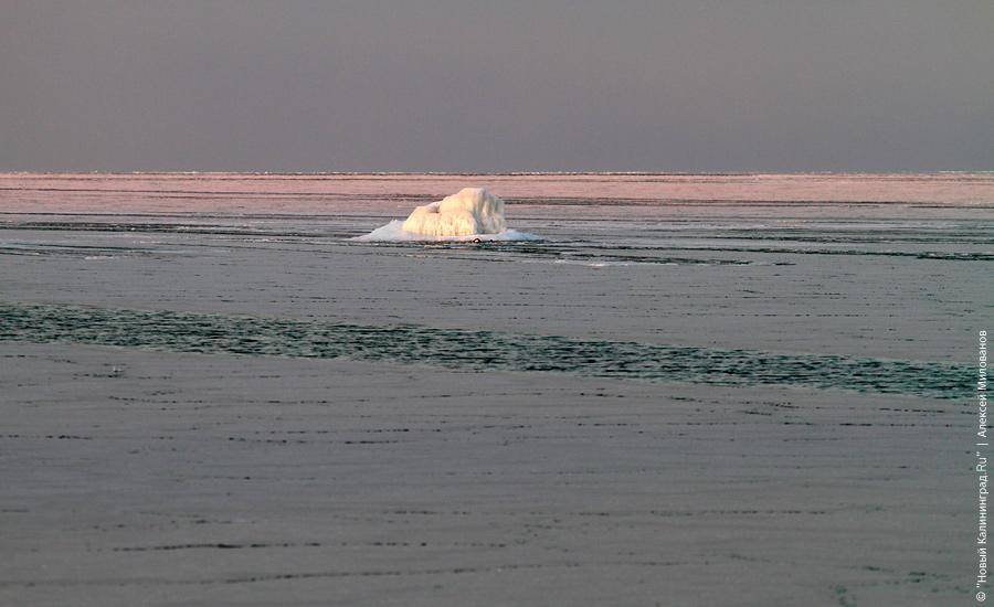 "Сцены у моря": фоторепортаж "Нового Калининграда.Ru"