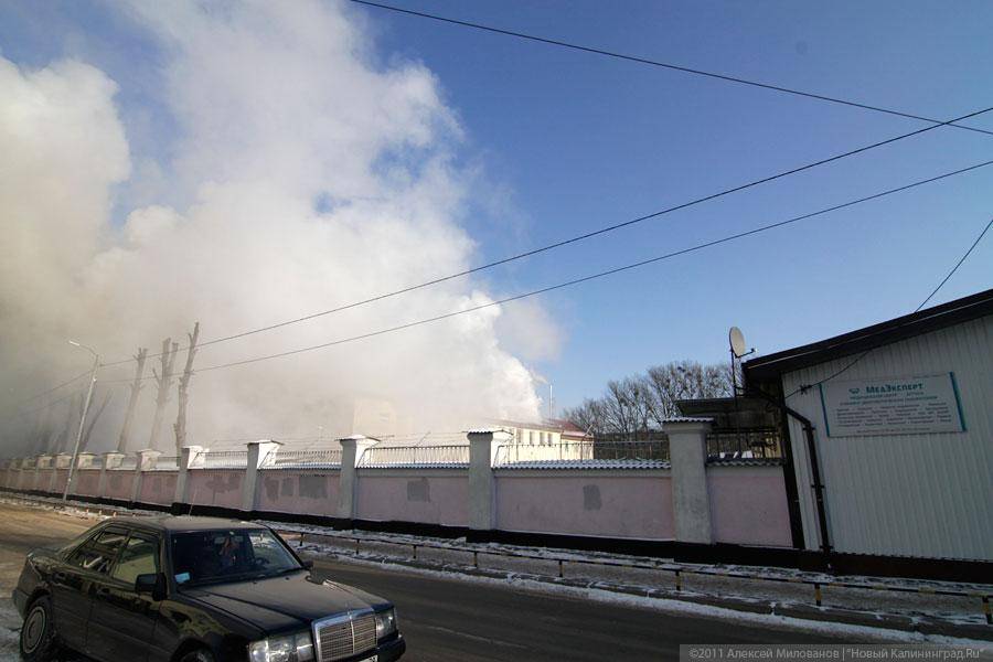 «Пожар на Иванникова»: фоторепортаж «Нового Калининграда.Ru»