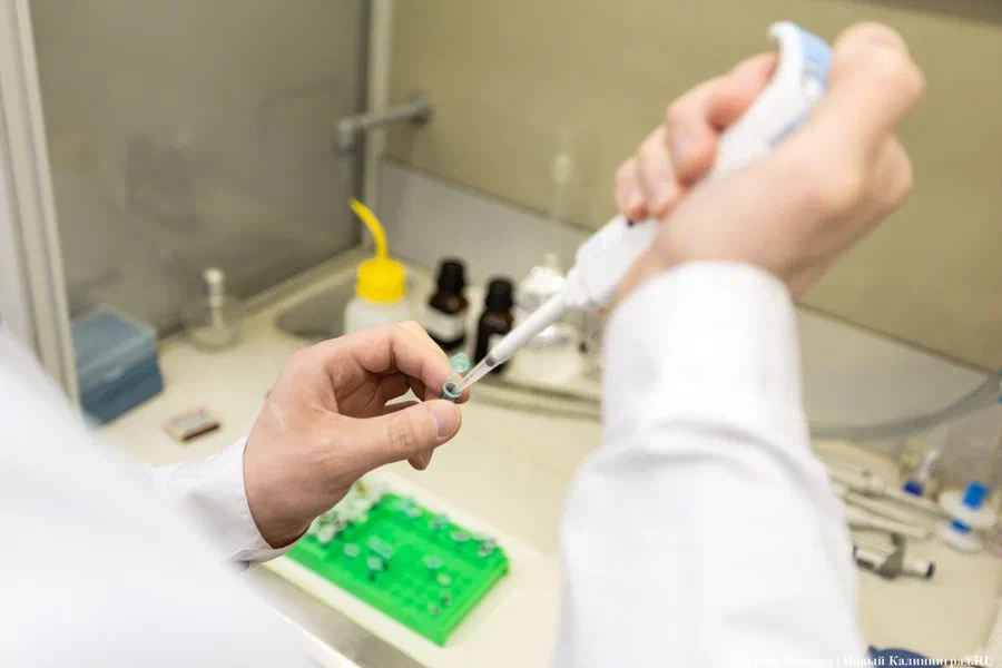 Четыре проекта БФУ получили гранты Российского научного фонда