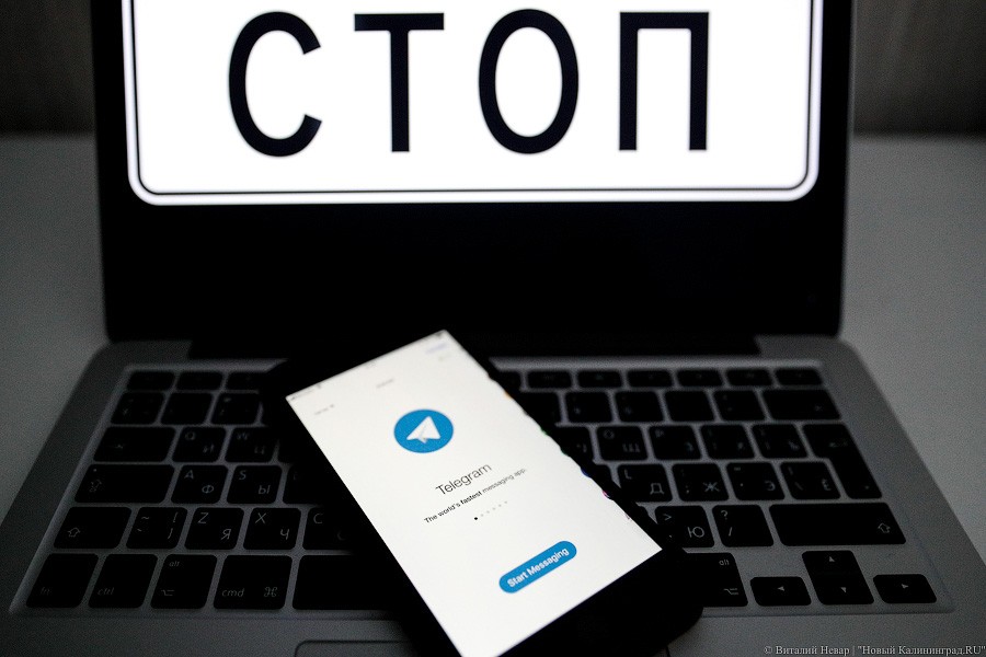 Опрос: для 64% интернет-пользователей из России не важен доступ к Telegram