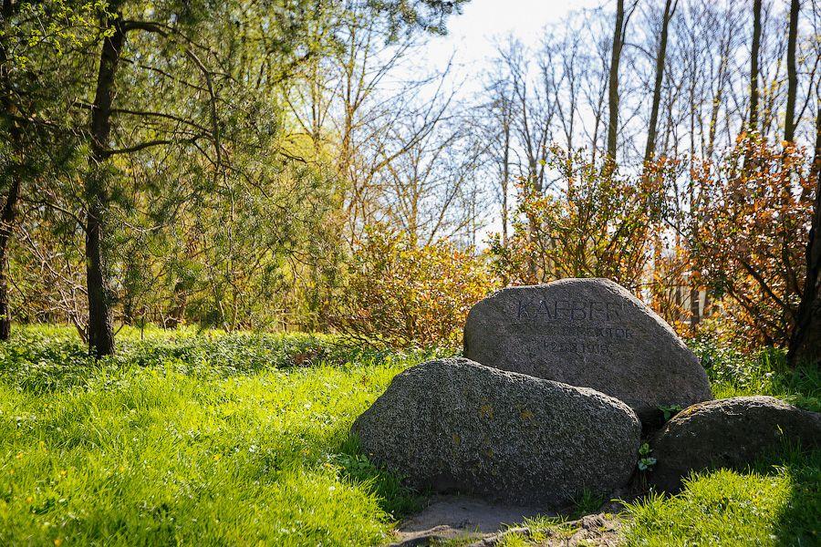 Пастораль ручной работы: весенний Ботанический сад