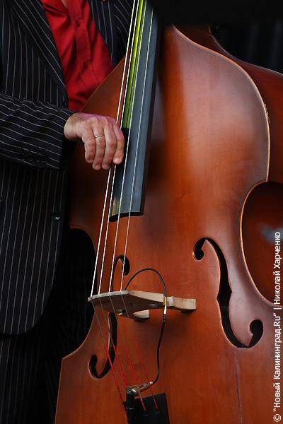 "Дон Ченто джаз-2010", день второй: фоторепортаж "Нового Калининграда.Ru"