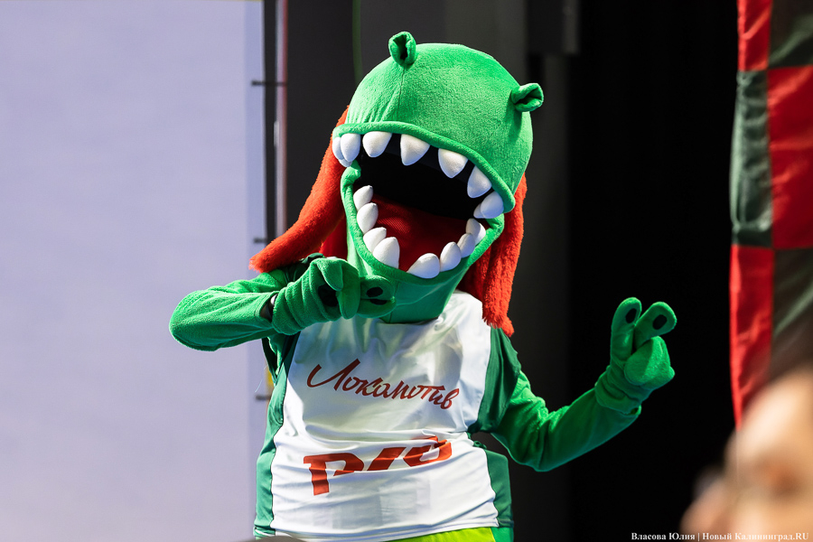 Фото: Юлия Власова / «Новый Калининград»