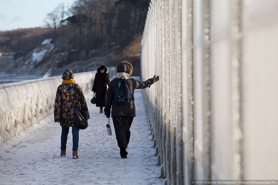 Президенция Деда Мороза: набережная в Пионерском после шторма (фото)