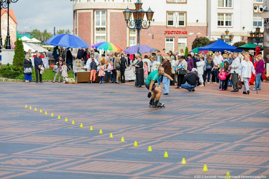 Кот — друг человека: в Калининграде отметили очередной кошачий праздник
