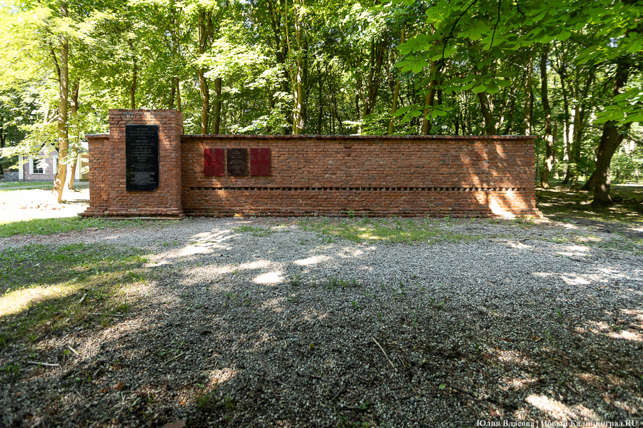 «Золотое место»: на территории еврейского кладбища планируют обустроить мемориальный парк   ﻿