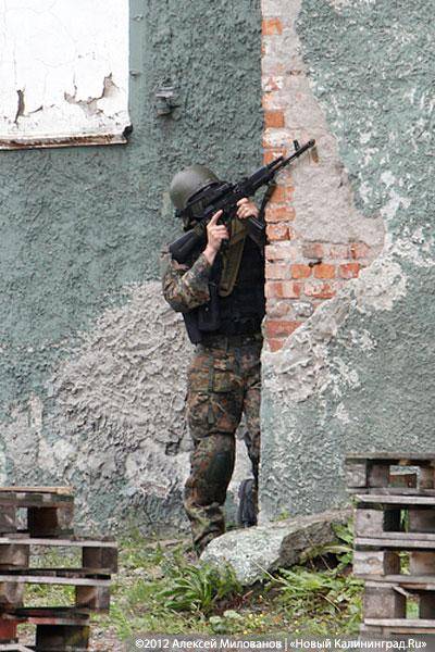 «Под флагом Башара»: фоторепортаж с антитеррористических учений