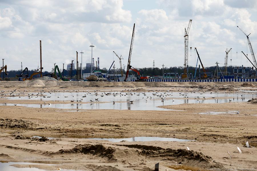 Фото — Виталий Невар, «Новый Калининград.Ru»