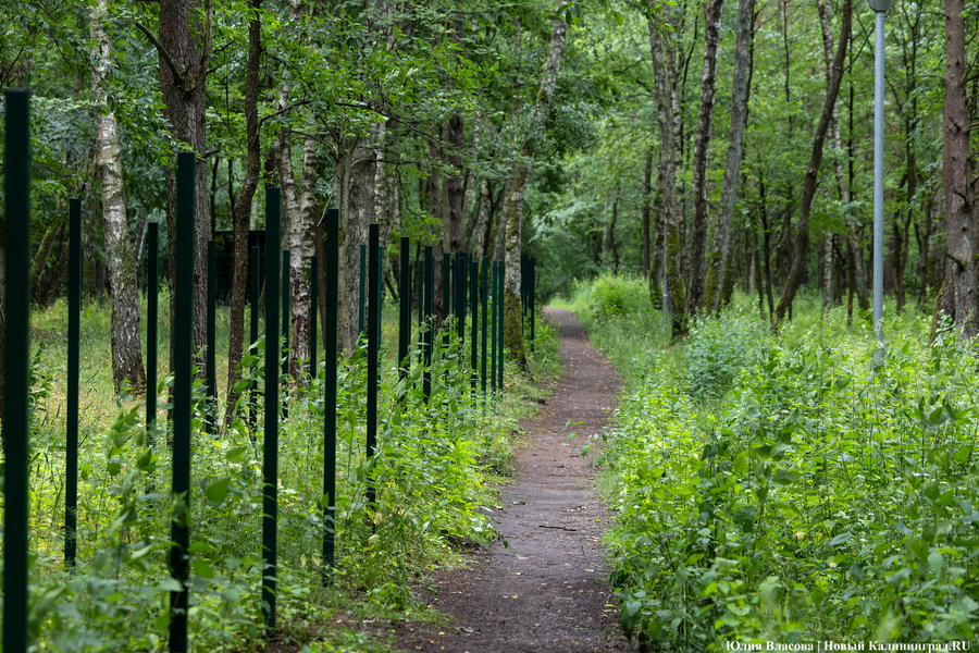 Планы развития к юбилею области: как губернатор в мкр. Космодемьянского выезжал (фото)