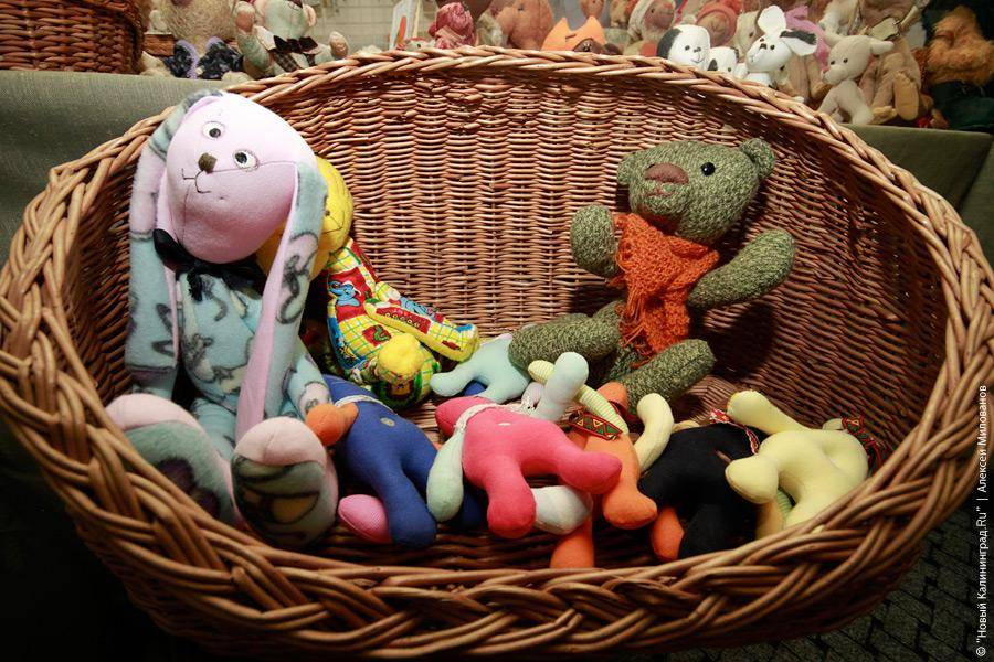 "Медвежонок Тедди и все-все-все": фоторепортаж "Нового Калининграда.Ru"