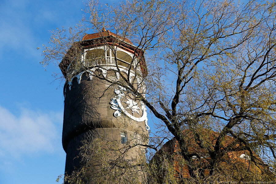 В минграде рассказали, почему меняли границы Светлогорска без обсуждений