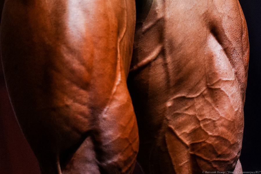 Игра мышцами: в Калининграде прошёл чемпионат области по бодибилдингу