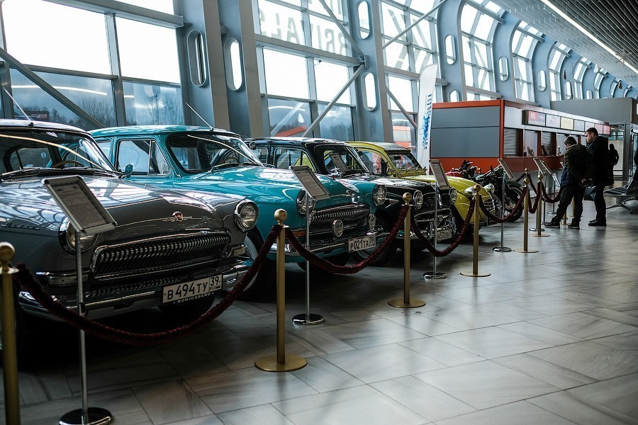 «Ханомаг» из Кёнигсберга: в «Храброво» открылась выставка ретроавтомобилей (фото)