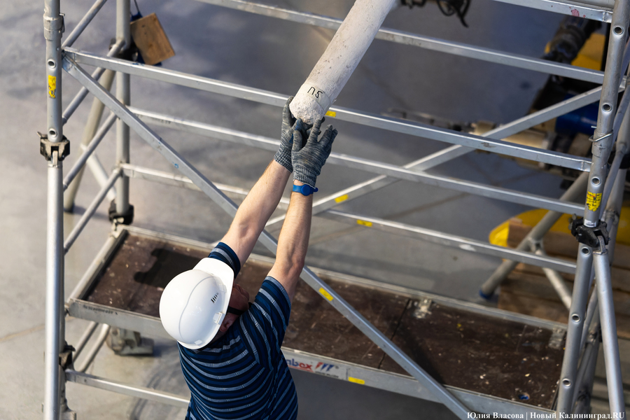 Первый «обитатель» «Планеты Океан»: скелет кашалота переезжает из «Глубины» (фото)