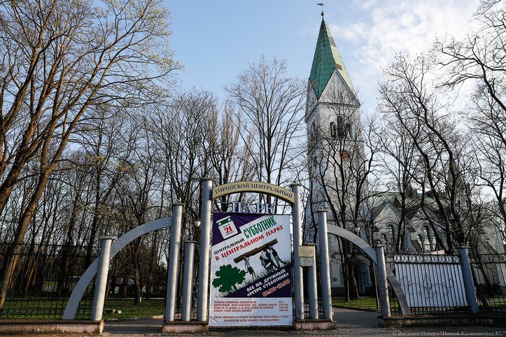 Фото — Виталий Невар, «Новый Калининград»