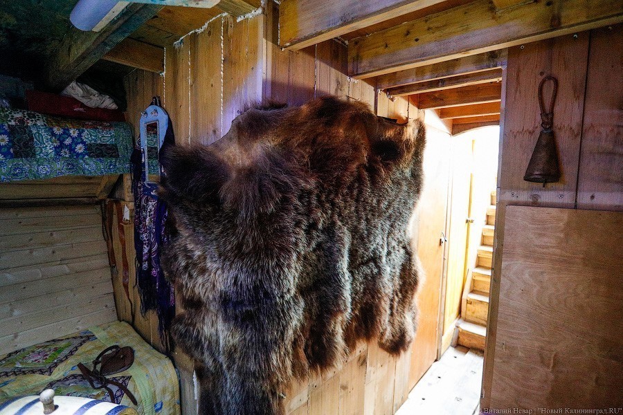 В Калининград пришел «Змей Горыныч». Мы побывали в его «чреве» (фото) (видео)