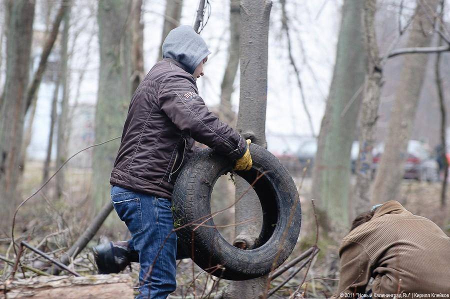 "Чистый лес: 115 на 40": фоторепортаж "Нового Калининграда.Ru" 