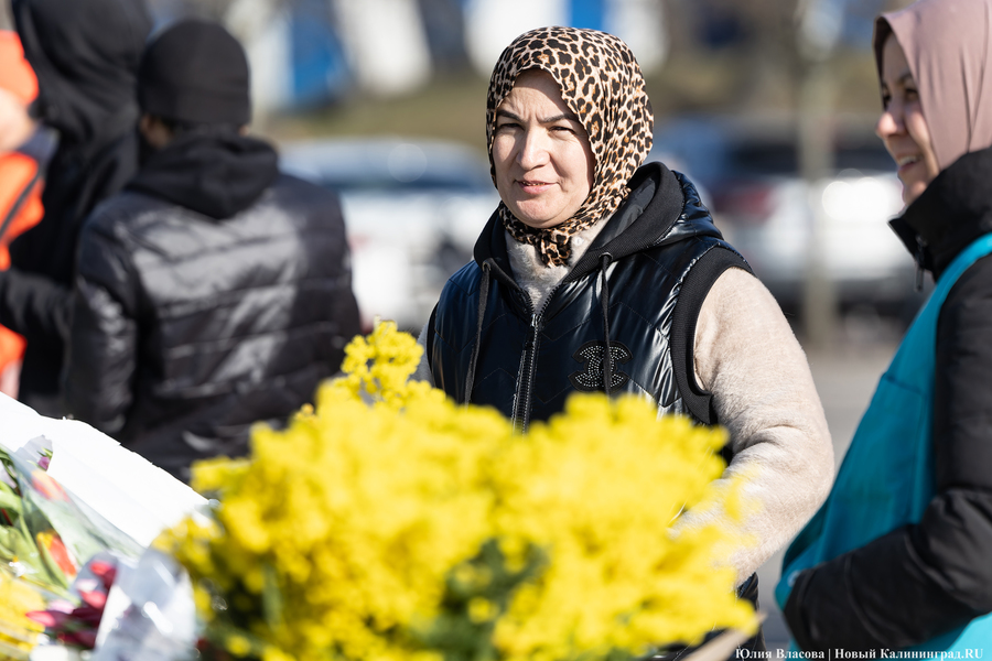 Кругом мимозы и тюльпаны: как выглядят улицы Калининграда 8 марта (фото)