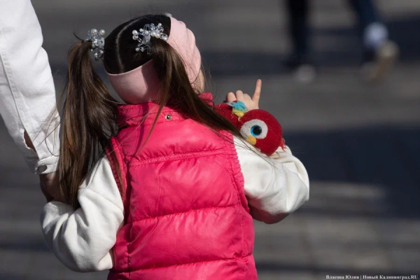 Калининградцы третий месяц жалуются на проблемы с отметками о гражданстве детей