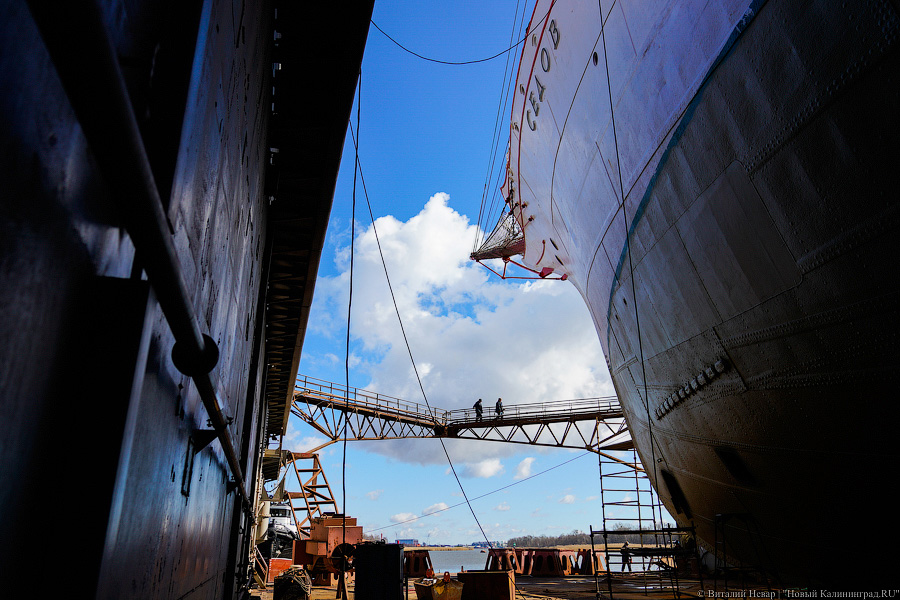 После кругосветки и перед новым рейсом: барк «Седов» проходит ремонт в Светлом (фото)