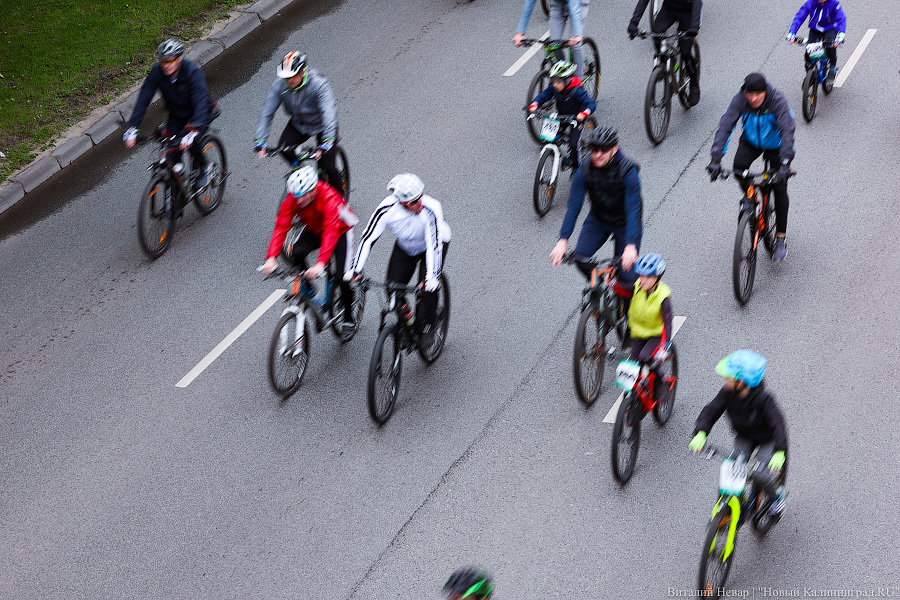 Лыжи, велики, унициклы: как прошёл велопарад в Калининграде (фото)