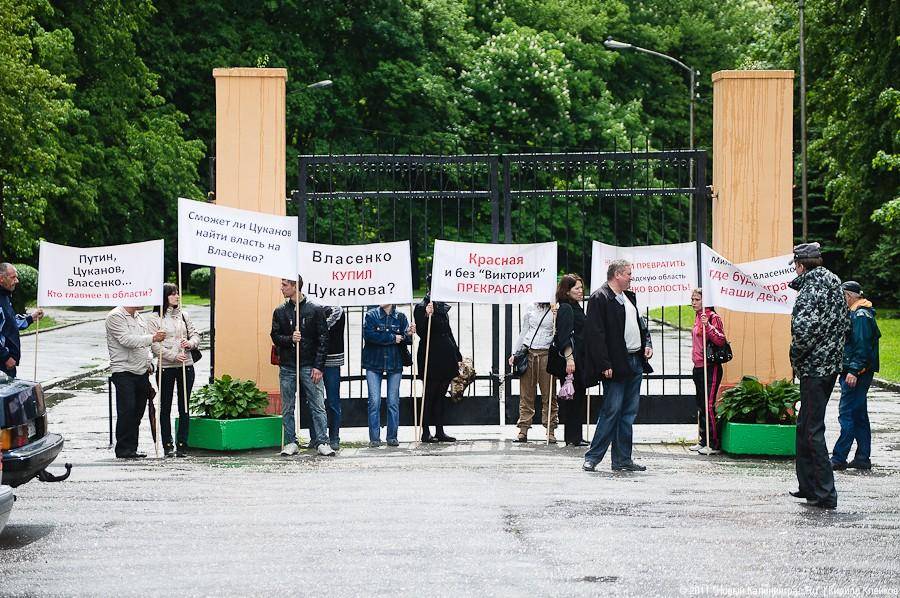 «Вялый зеленый протест»: фоторепортаж «Нового Калининграда.Ru»