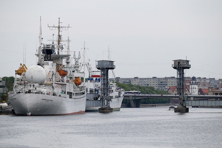 Фото — Виталий Невар, «Новый Калининград»