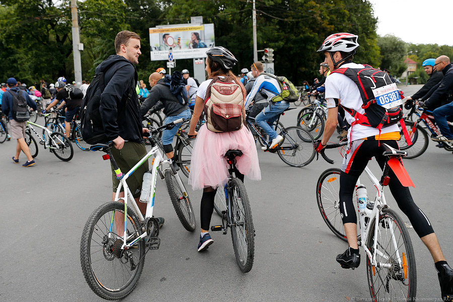 Тур до Кранца: как в Калининграде финишировал велосезон