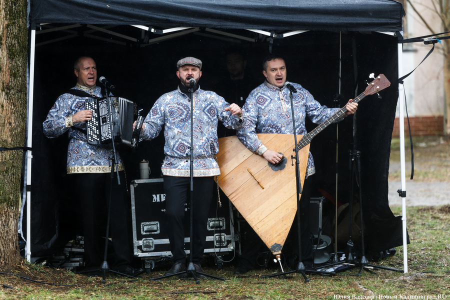 «Коммунальный Новый год»: как в Калининграде прошёл общегородской субботник