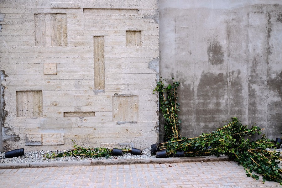 Бетон и пустота: в Калининграде завершается благоустройство Нижнего озера (фото)